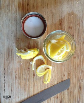 Easy DIY Lemon-Vinegar Everything Cleaner — works just as well as all those fancy cleaners, and costs next-to-nothing to make! thecrunchyurbanite.com