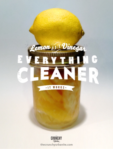 Easy DIY Lemon-Vinegar Everything Cleaner — works just as well as all those fancy cleaners, and costs next-to-nothing to make! thecrunchyurbanite.com