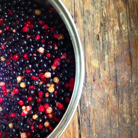 Black Currant Jam - thecrunchyurbanite.com