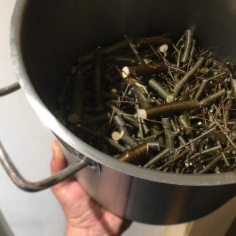 Old-Fashioned Birch Beer Soda | thecrunchyurbanite.com