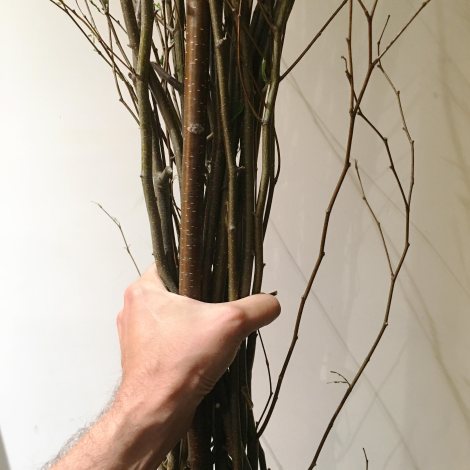 Old-Fashioned Birch Beer Soda | thecrunchyurbanite.com