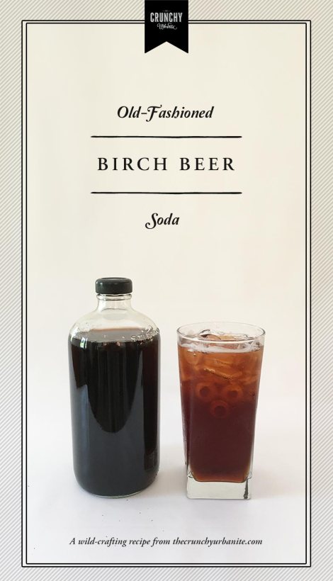 Old-Fashioned Birch Beer Soda | thecrunchyurbanite.com